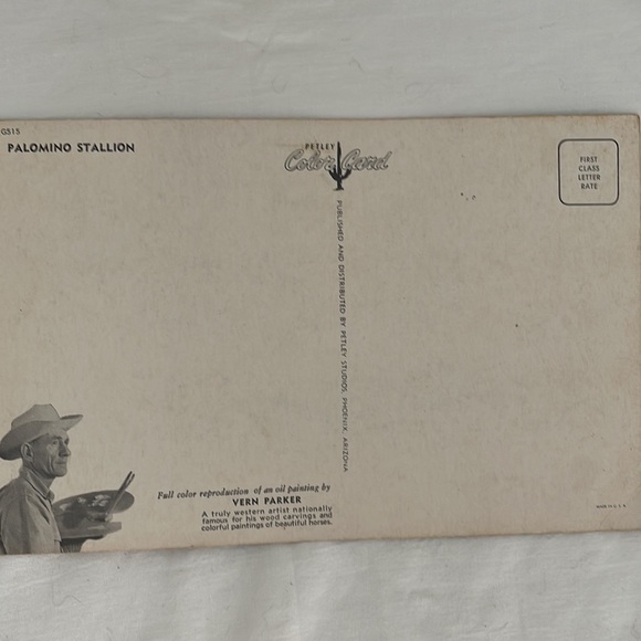 Vintage WesternStyle Large Post Card Trio - Picture 7 of 10